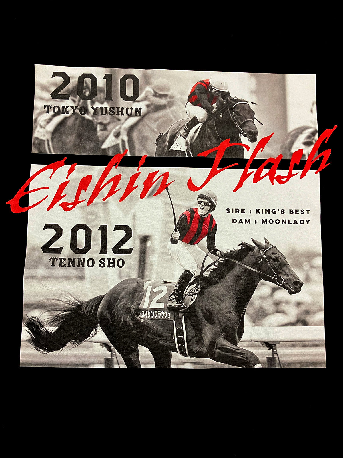 エイシンフラッシュ・TシャツB