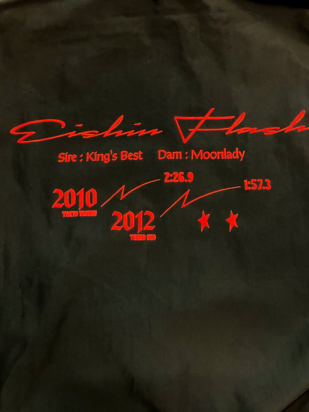 エイシンフラッシュ・ブルゾン