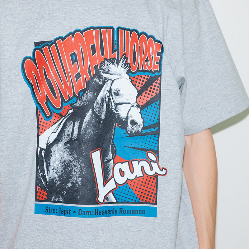 ラニ・Tシャツ(グレー)
