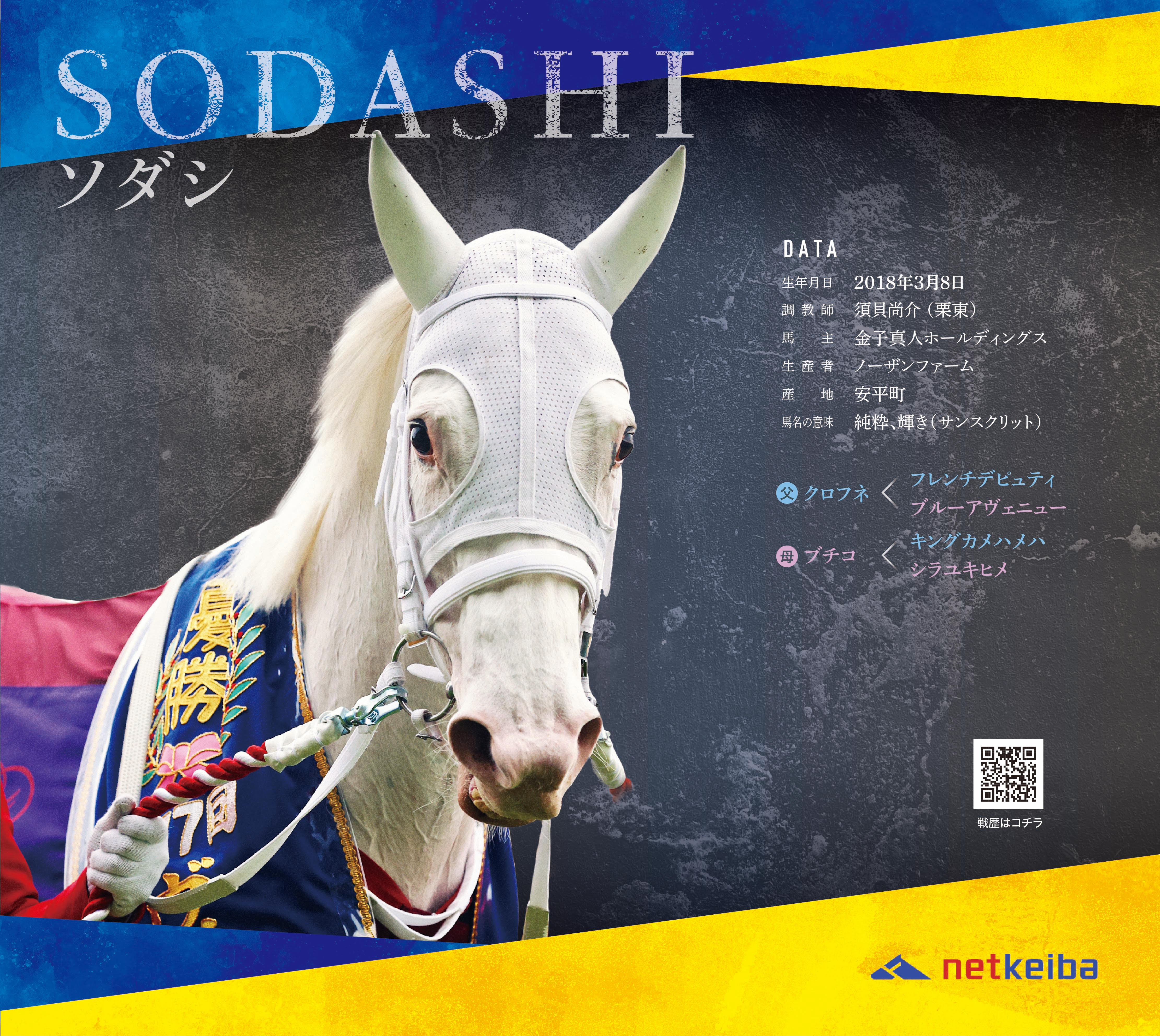 白毛馬一族色紙コレクションBOX