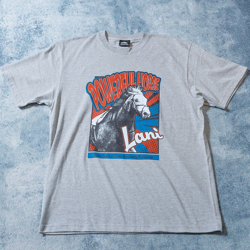 ラニ・Tシャツ(グレー)
